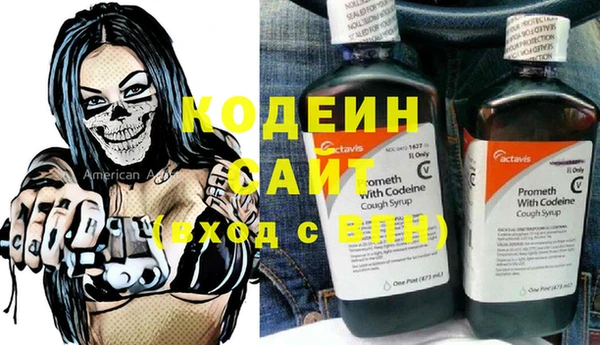 мет Алексин