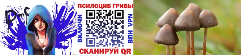 Галлюциногенные грибы ЛСД  магазин продажи наркотиков  Шелехов 